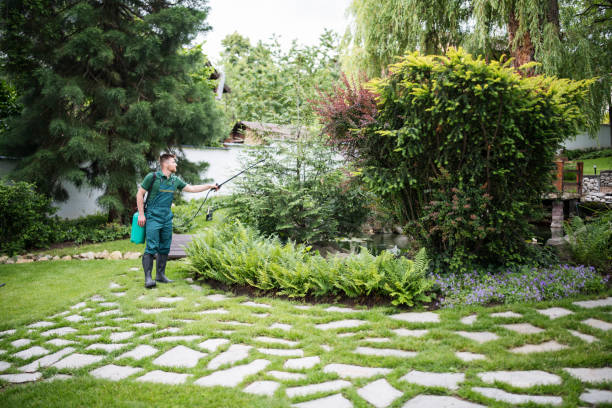 Pest Prevention Services in Hunters Creek, FL