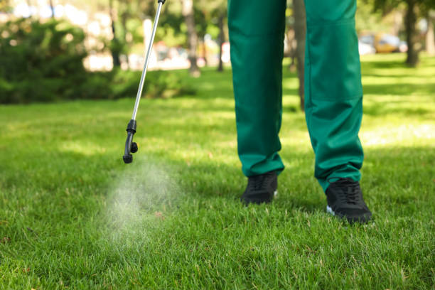 Best Residential Pest Control  in Hunters Creek, FL