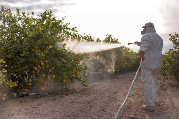 Best Pest Prevention Services  in Hunters Creek, FL