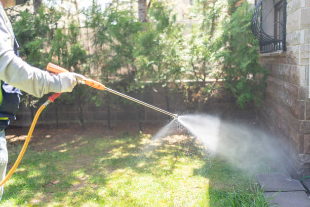 Best Wasp Removal Services  in Hunters Creek, FL