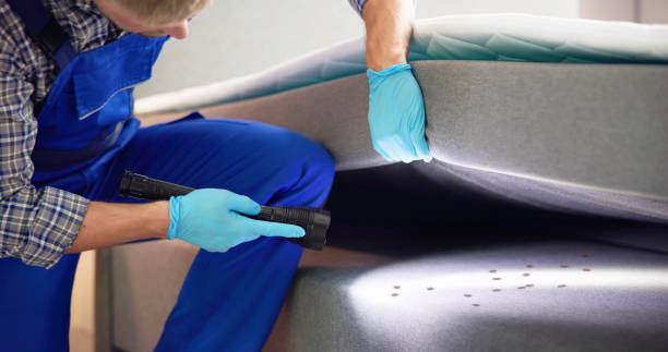 Best Termite Control Services  in Hunters Creek, FL